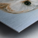 Barn Owl Perceptive Gaze Metal print