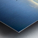 Iconic Tree Sunrise at Driftwood Beach Jekyll Island Metal print