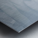 Snow study Metal print