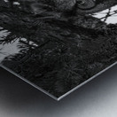 The Hypnotist Metal print