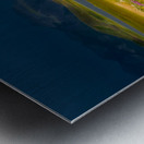 The Apocalypse Metal print