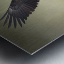 King of the Skies Metal print
