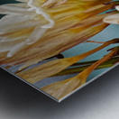 20210414IMG 8058 Metal print