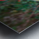 20210513IMG 9605 Metal print