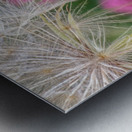 20210410IMG 8577 Metal print