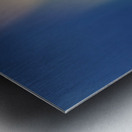 20210409IMG 8490 Metal print