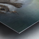 Semipalmated Plover Metal print