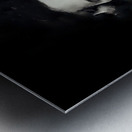 A face in the dark Metal print