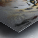 Tigre Metal print