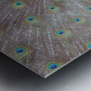 WILD IS MY FAVORITE COLOR SERIES-6 Metal print