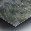 WILD IS MY FAVORITE COLOR SERIES-5 Metal print