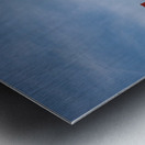 WILD IS MY FAVORITE COLOR SERIES- Metal print