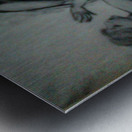 094 Metal print