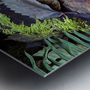 Mossy Stump Metal print