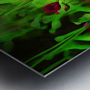 Poppies Metal print
