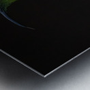 Hummingbird - 3 Metal print