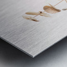 Eucalyptus Gold No 04 Metal print