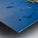 Manta reef on the reef Metal print