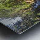 Sacred Deer Metal print