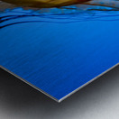 Orange Glow Metal print