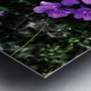 9A0CA0D8 1CB1 42C3 9CA2 CCF4751CBA0B Metal print