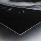 dark horse by abhi 2 orig Metal print