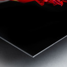 Rose Petals Metal print