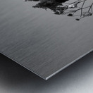 SYMBIOSIS Metal print