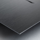 SYMBIOSIS Metal print