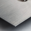 The Thinker Metal print