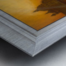 Window into Venice Metal print