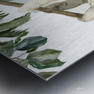 The Best Views Metal print