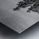 Quiet Ease Metal print