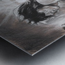 The Stones Metal print