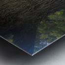 Backyard Swing Metal print