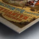 Me and my baby carnival vintage poster Metal print