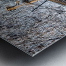 Earth Mover Metal print