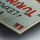 Voyage a LExposition de Turin, Italy Metal print