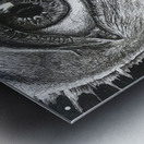 go  zu  m ayd  n Metal print