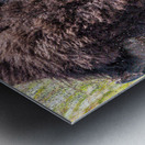 Shake It Off Metal print