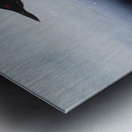 Common Loon Painting Metal print