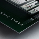 Early Bird Gets The Lambo Metal print