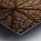 droplets Metal print