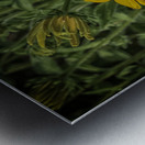 partners Metal print