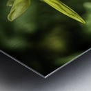 pinwheel Metal print