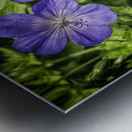 purple flowers Metal print