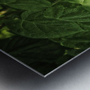 plant study Metal print