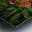 visitor two Metal print