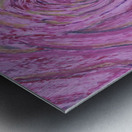 pink rose Metal print