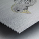 Bird Metal print